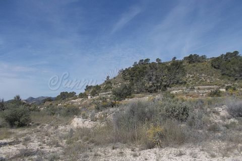 Cave house i Abanilla, Murcia, Abanilla - € 49.000 | Ref: SF0070 - foto 4